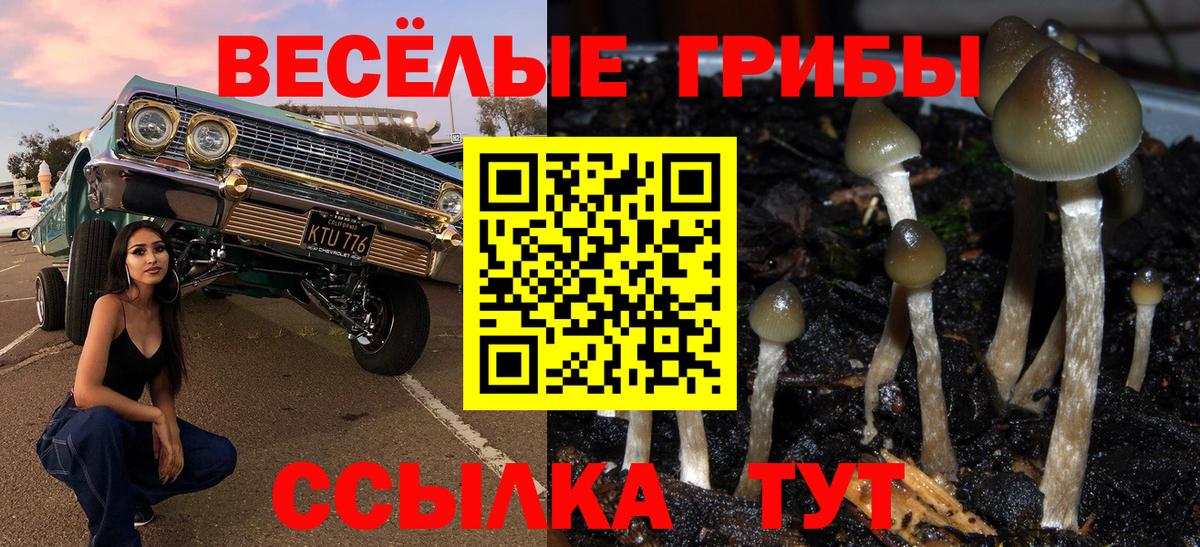 Галлюциногенные грибы прущие грибы  Вход с VPN  Медногорск  Псилоцибиновые грибы MAGIC MUSHROOMS 