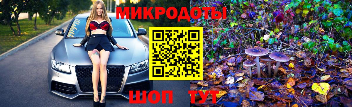 Псилоцибиновые грибы Psilocybine cubensis Медногорск
